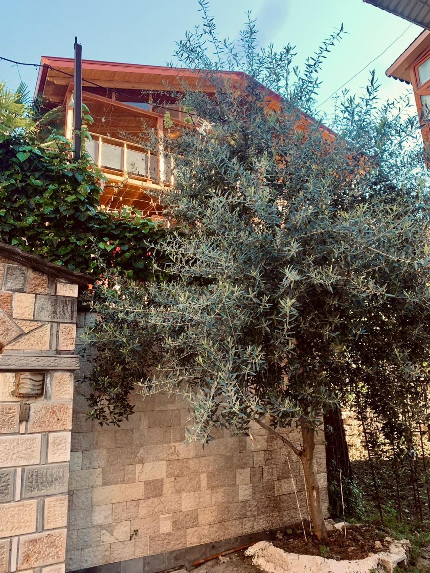 Alimeti Guesthouse Berat Extérieur photo