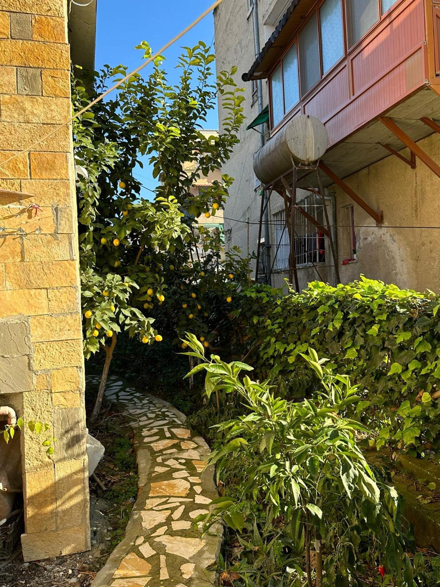 Alimeti Guesthouse Berat Extérieur photo